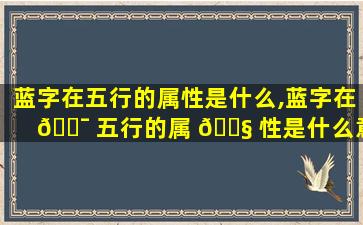 蓝字在五行的属性是什么,蓝字在 🐯 五行的属 🐧 性是什么意思